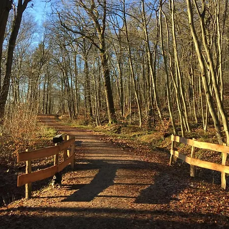 Waldmuehle *