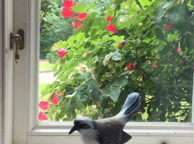 Waldmuehle Lejlighed Slesvig