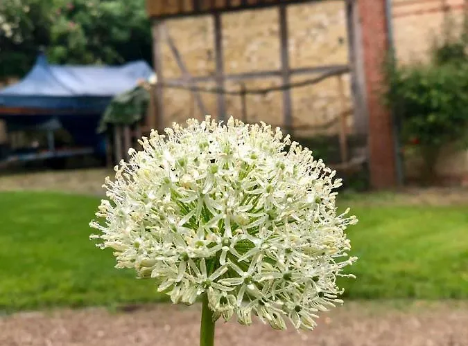 Waldmuehle * Slesvig